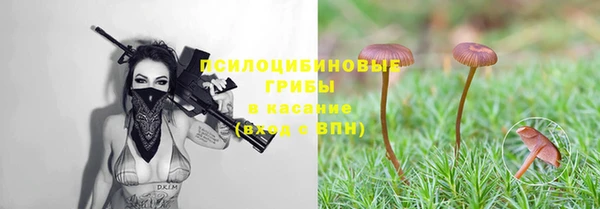 ALPHA PVP Покровск