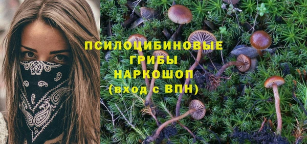 амфетамин Покачи